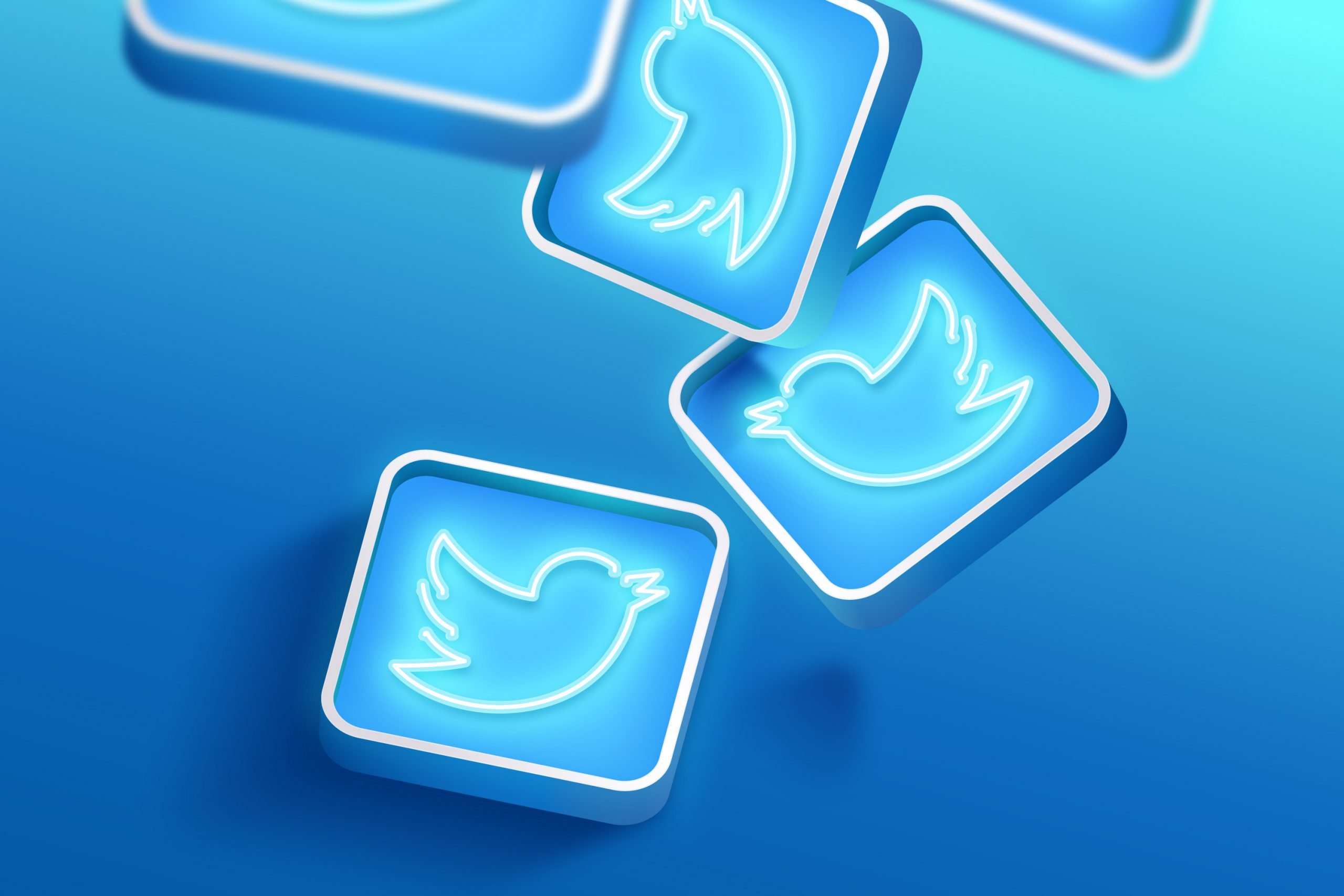 Image of the official Twitter logo