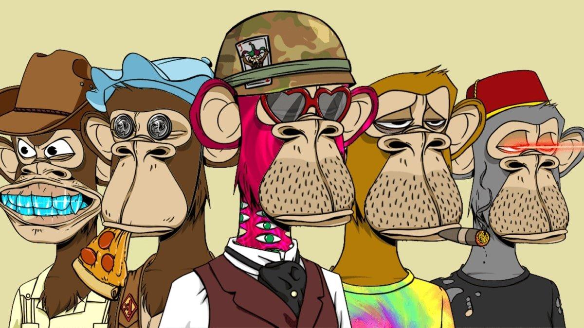 Bored apes of the Bored Ape Yacht Club NFT collection