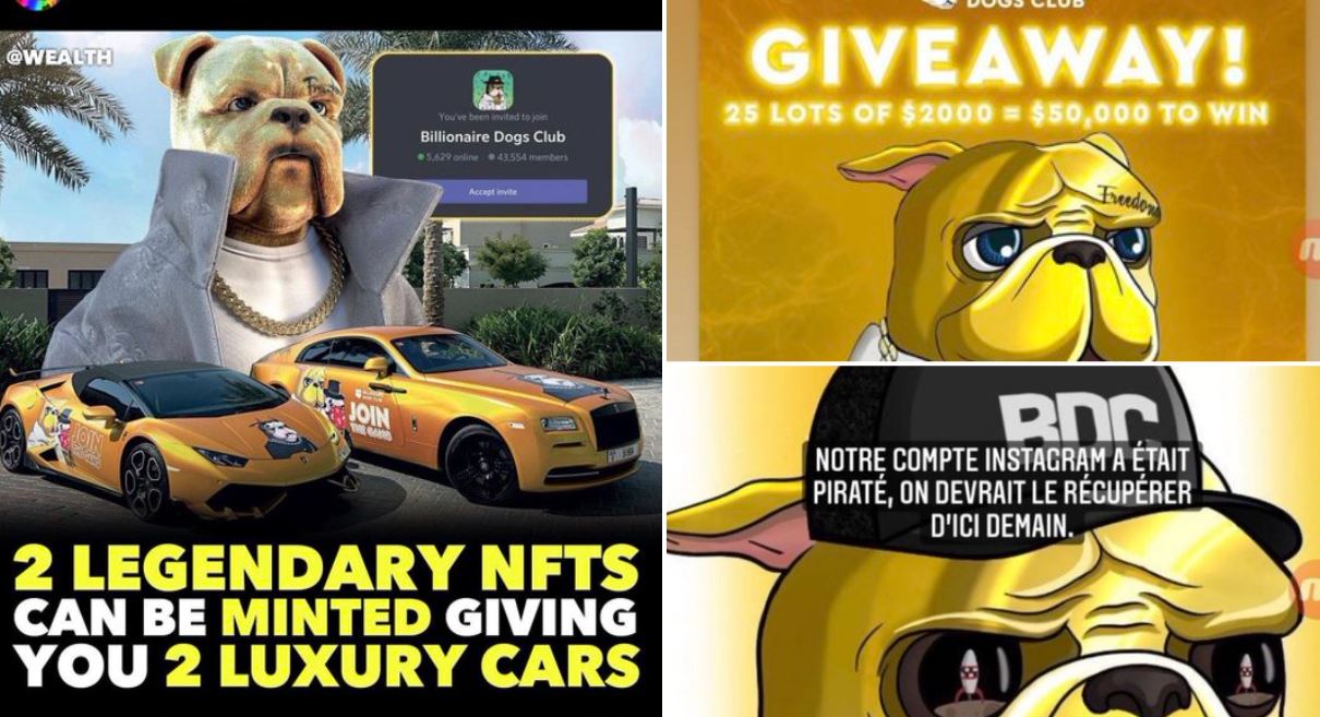 digital posters of the Billionaire Dogs Club NFT project