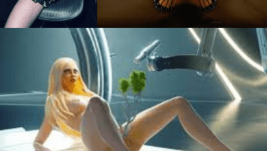 CryptoNFT Madonna Releases Nude NFT that featureS her v@g*na