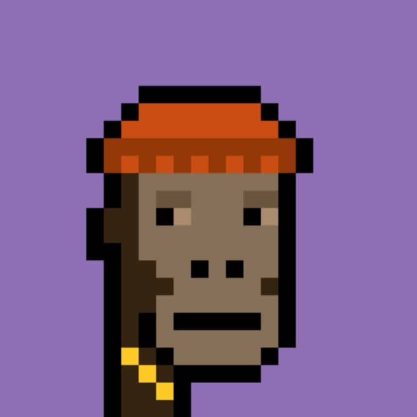 CryptoPunks NFT wearing a hat